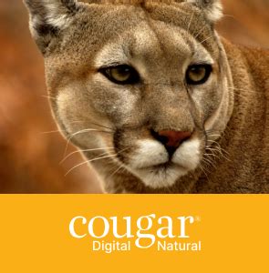 cougar natural paper|domtar cougar paper trail.